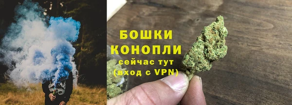 дурь Пересвет