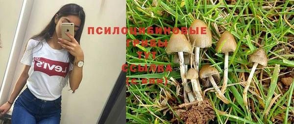 дурь Пересвет