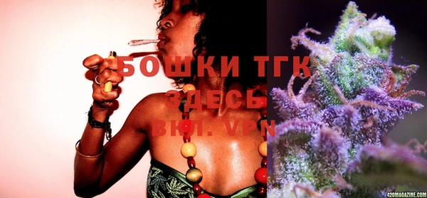 бошки Переславль-Залесский