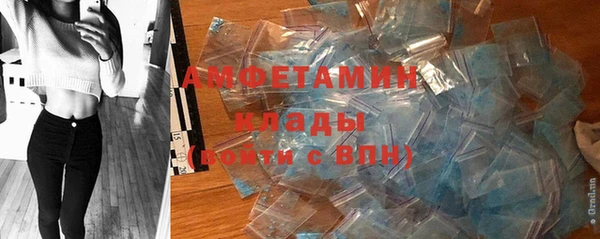 дурь Пересвет